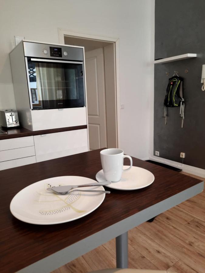 Business-Lodging Apartmenthaus Hoehr-Grenzhausen Luaran gambar