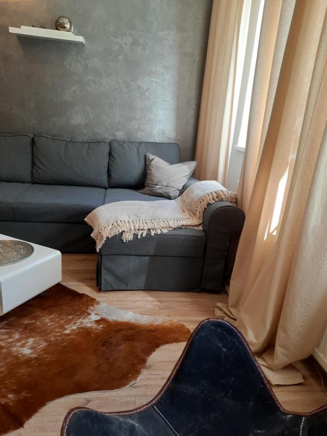 Business-Lodging Apartmenthaus Hoehr-Grenzhausen Luaran gambar