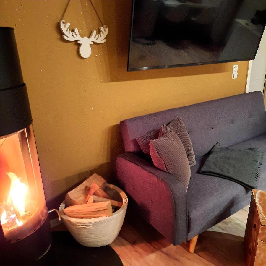 Business-Lodging Apartmenthaus Hoehr-Grenzhausen Luaran gambar