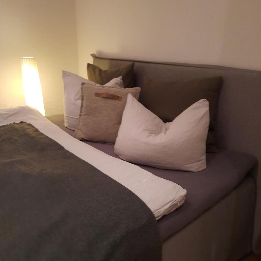 Business-Lodging Apartmenthaus Hoehr-Grenzhausen Luaran gambar
